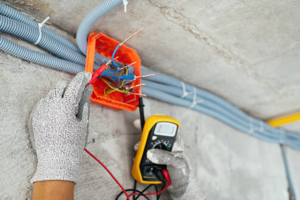 Best Residential Electrician Services  in Albertson, NY